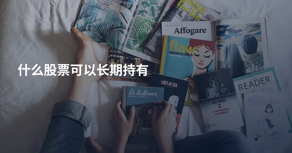 什么股票可以长期持有