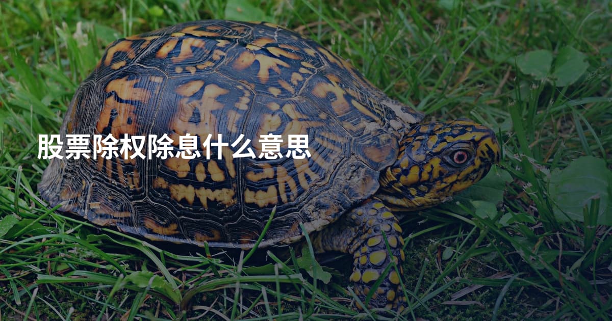 股票除权除息什么意思