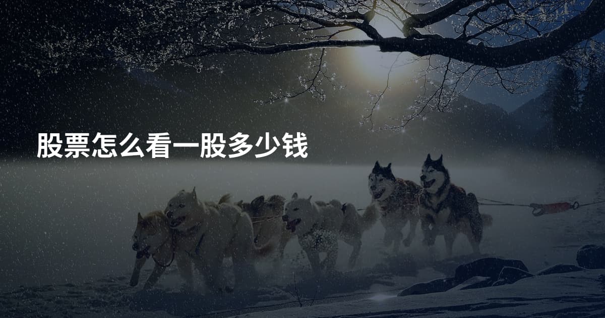股票怎么看一股多少钱