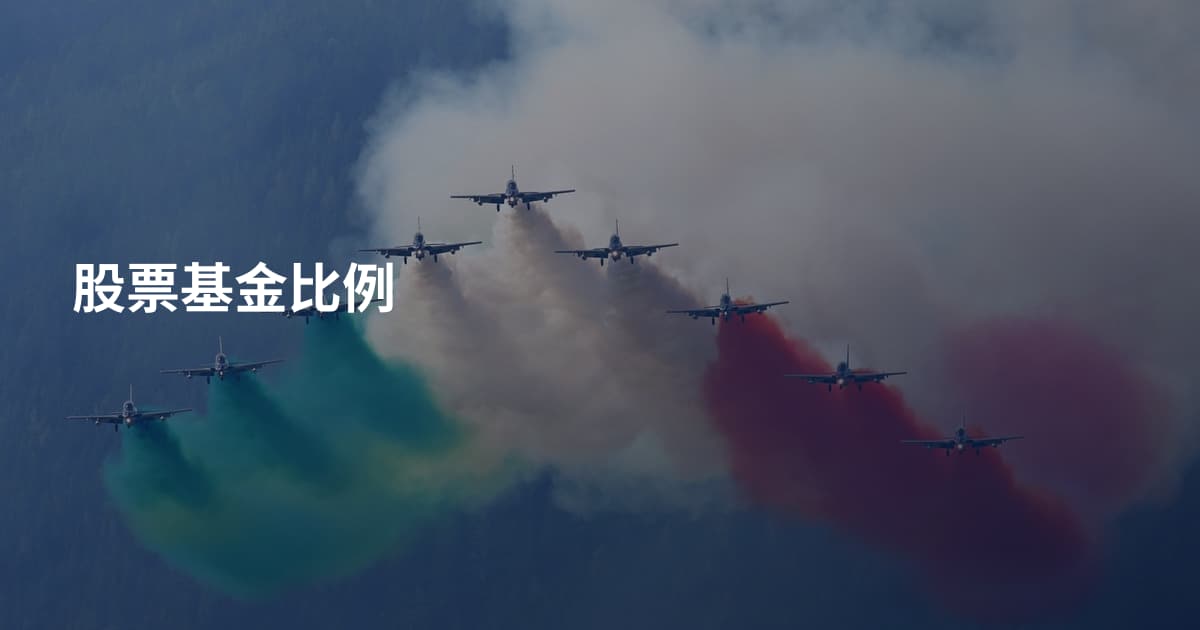 股票基金比例