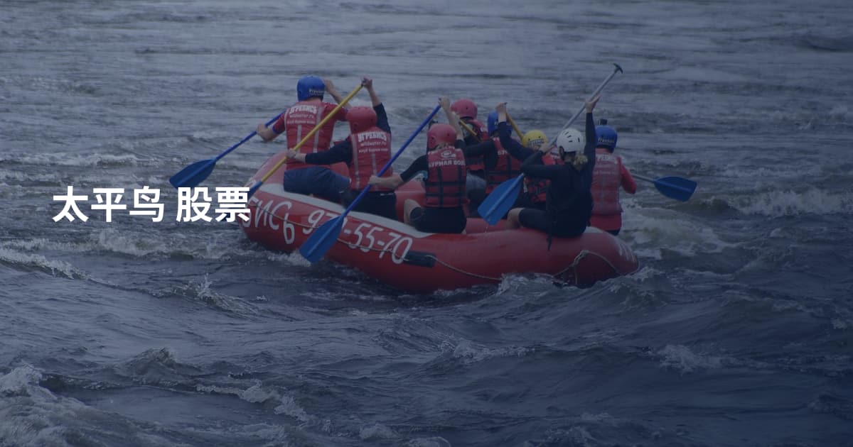 太平鸟 股票