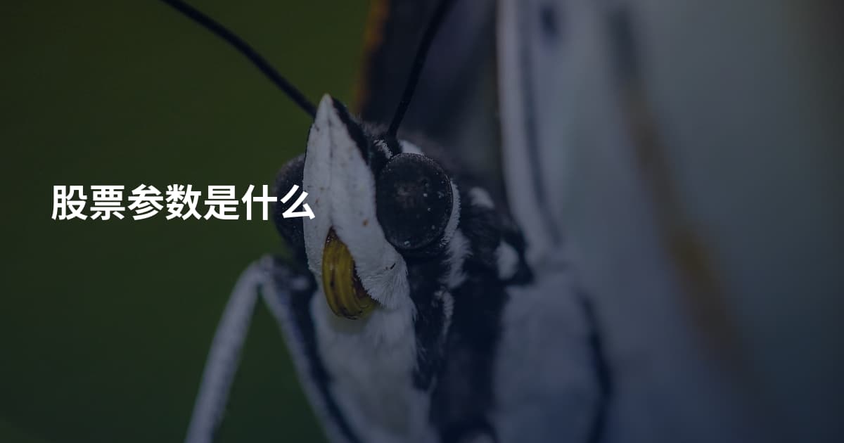 股票参数是什么