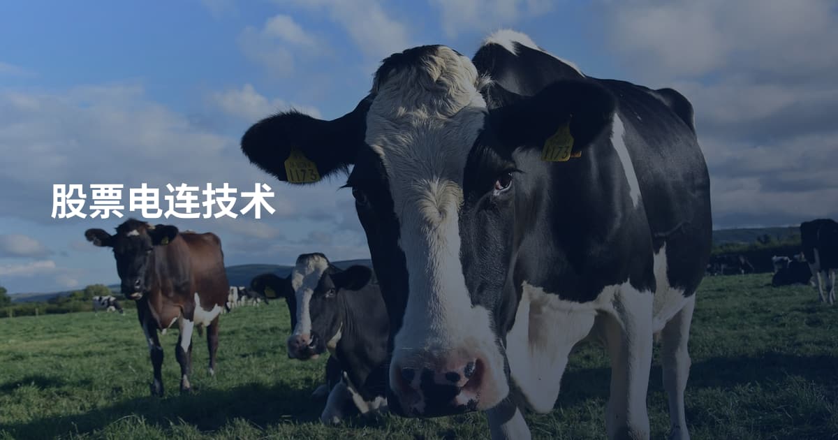 股票电连技术