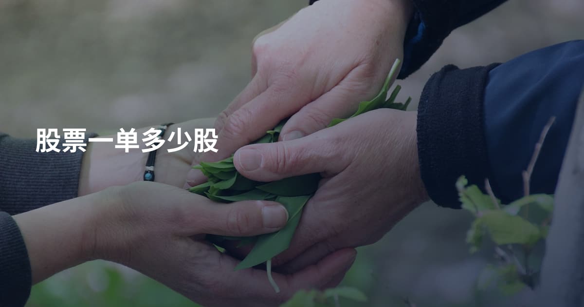 股票一单多少股
