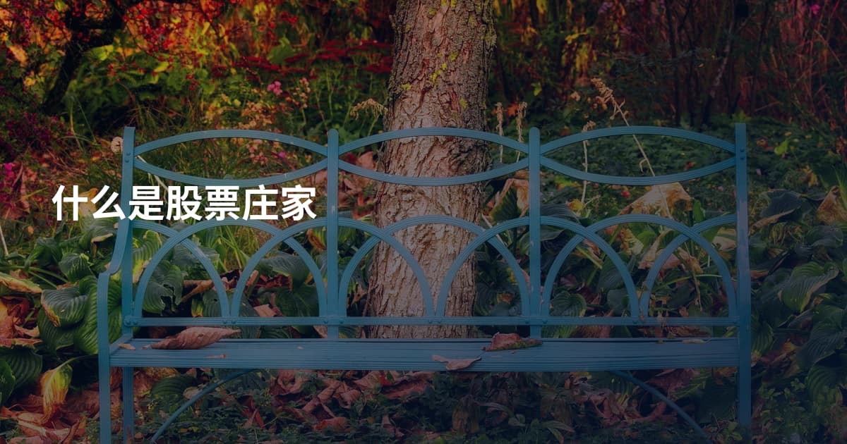 什么是股票庄家