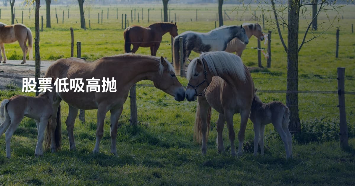 股票低吸高抛