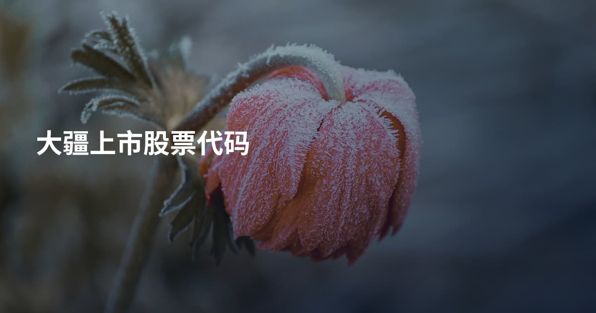 大疆上市股票代码