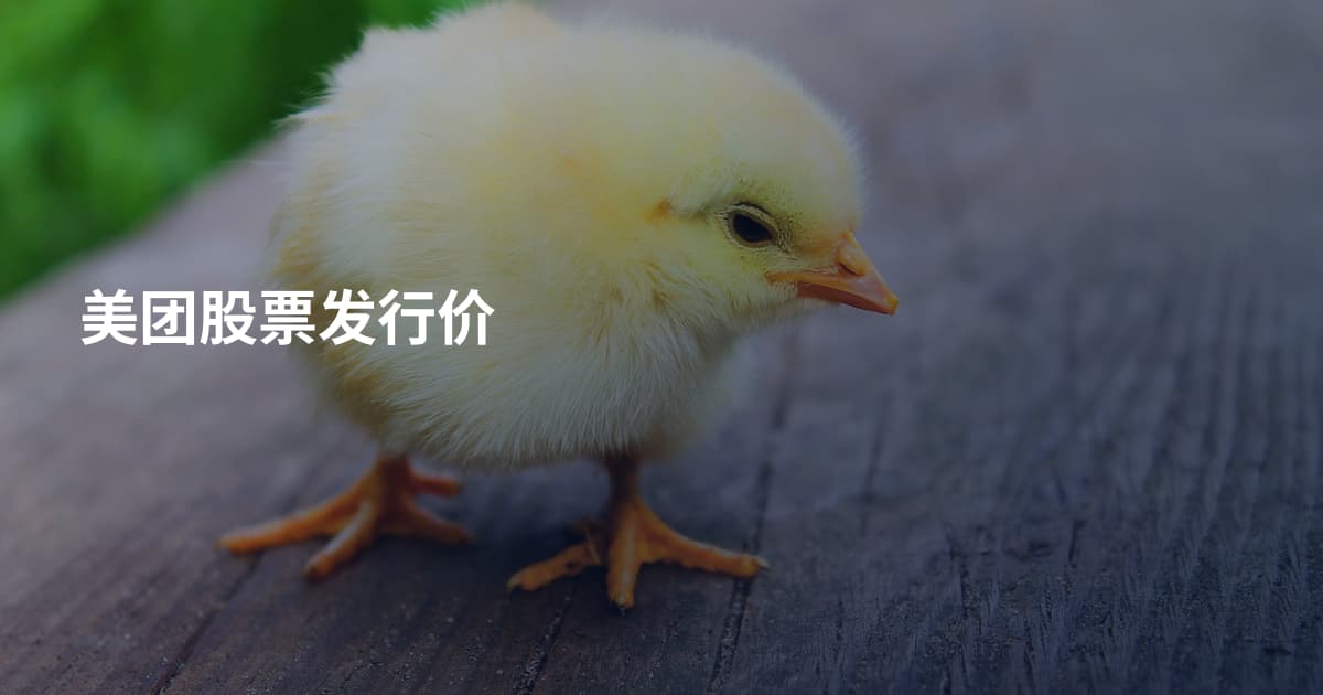 美团股票发行价