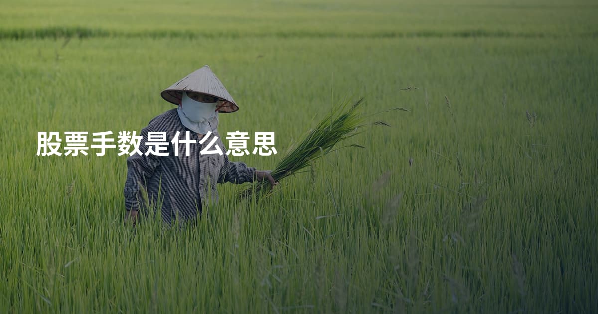 股票手数是什么意思