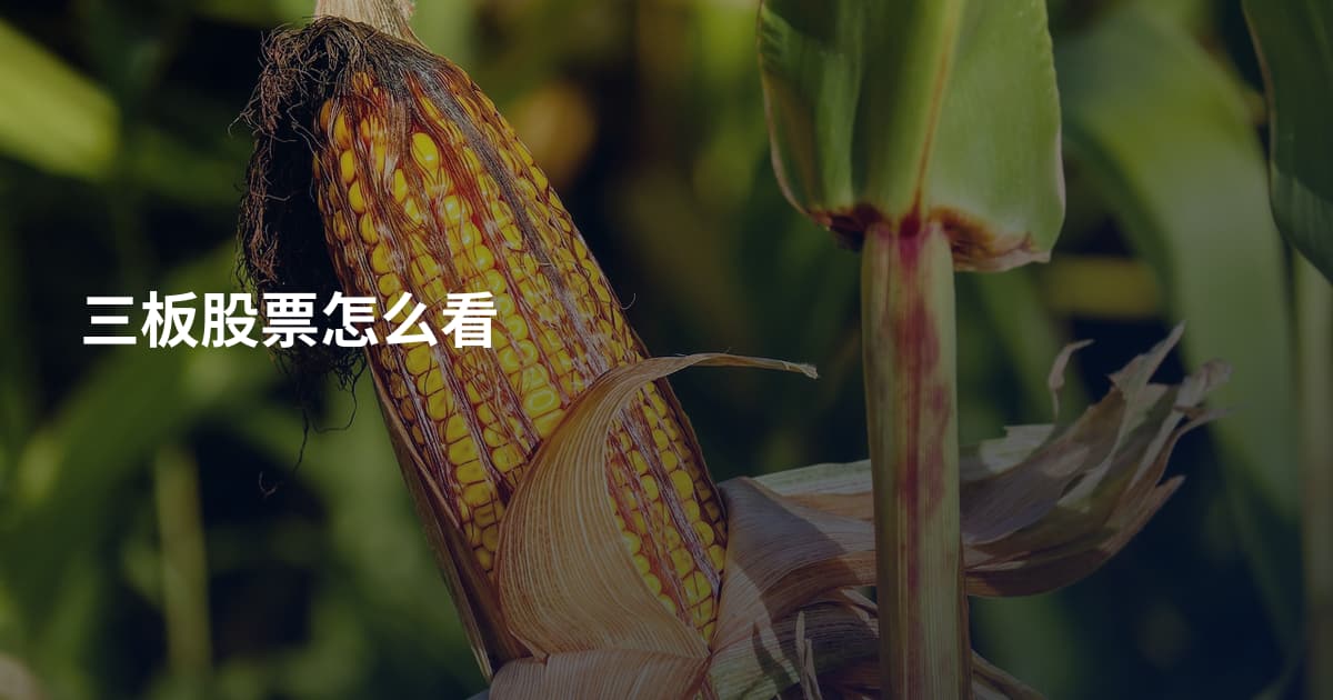 三板股票怎么看