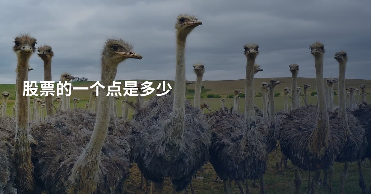 股票的一个点是多少