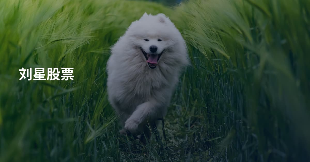 刘星股票
