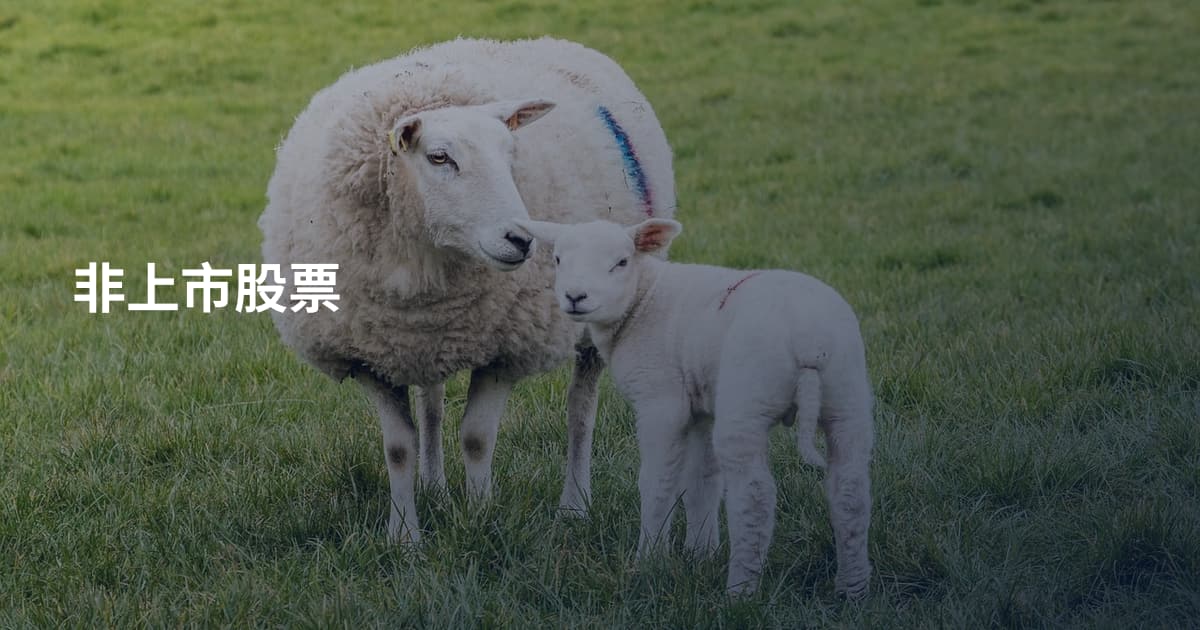 非上市股票