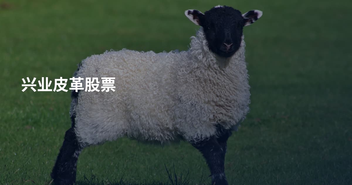 兴业皮革股票