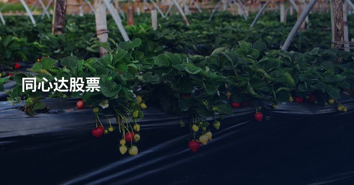 同心达股票