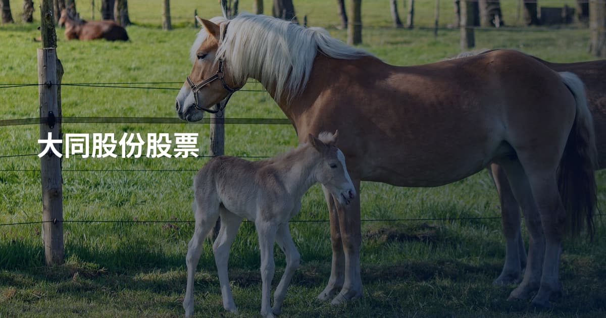 大同股份股票