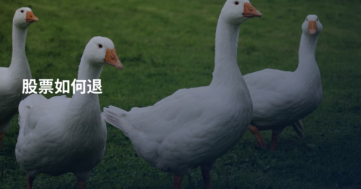 股票如何退