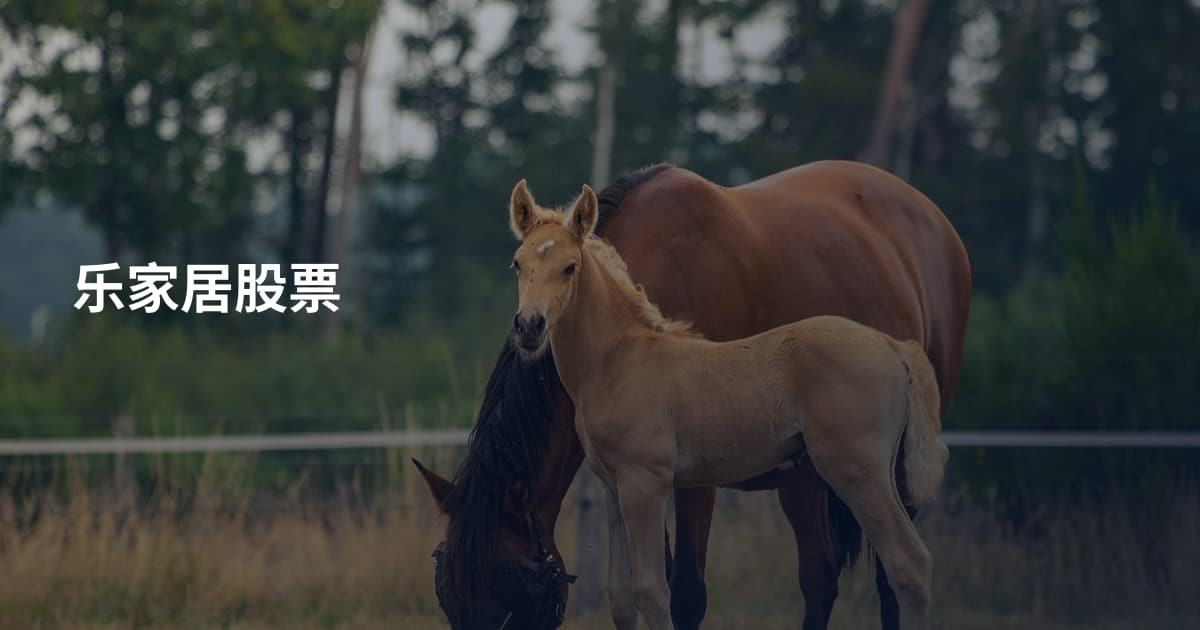 乐家居股票