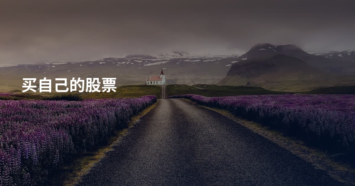 买自己的股票