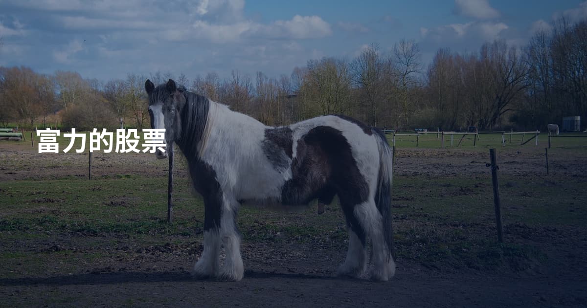 富力的股票