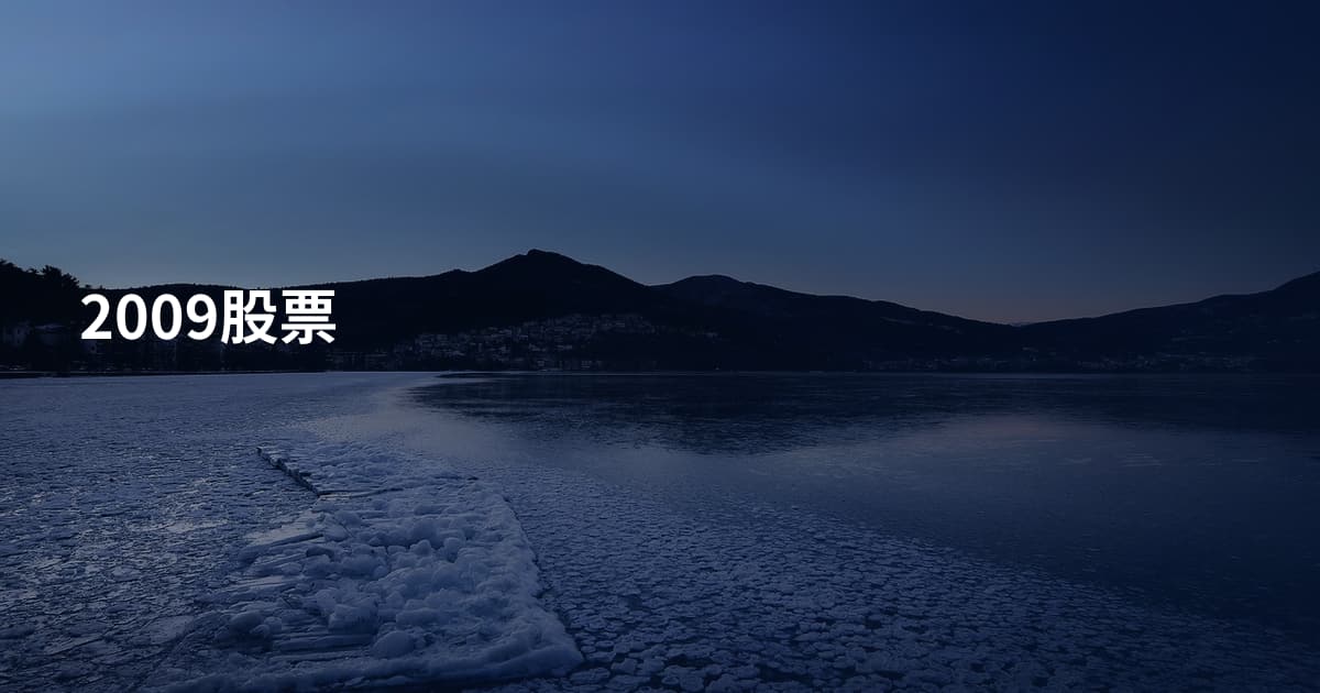 2009股票