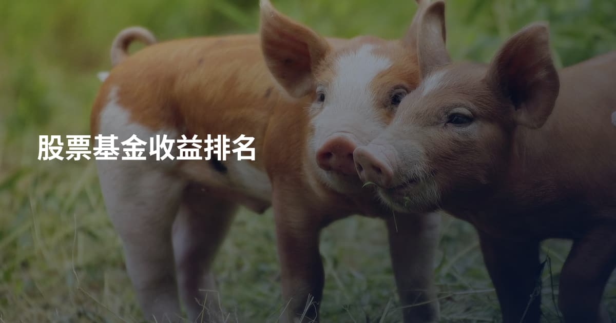 股票基金收益排名