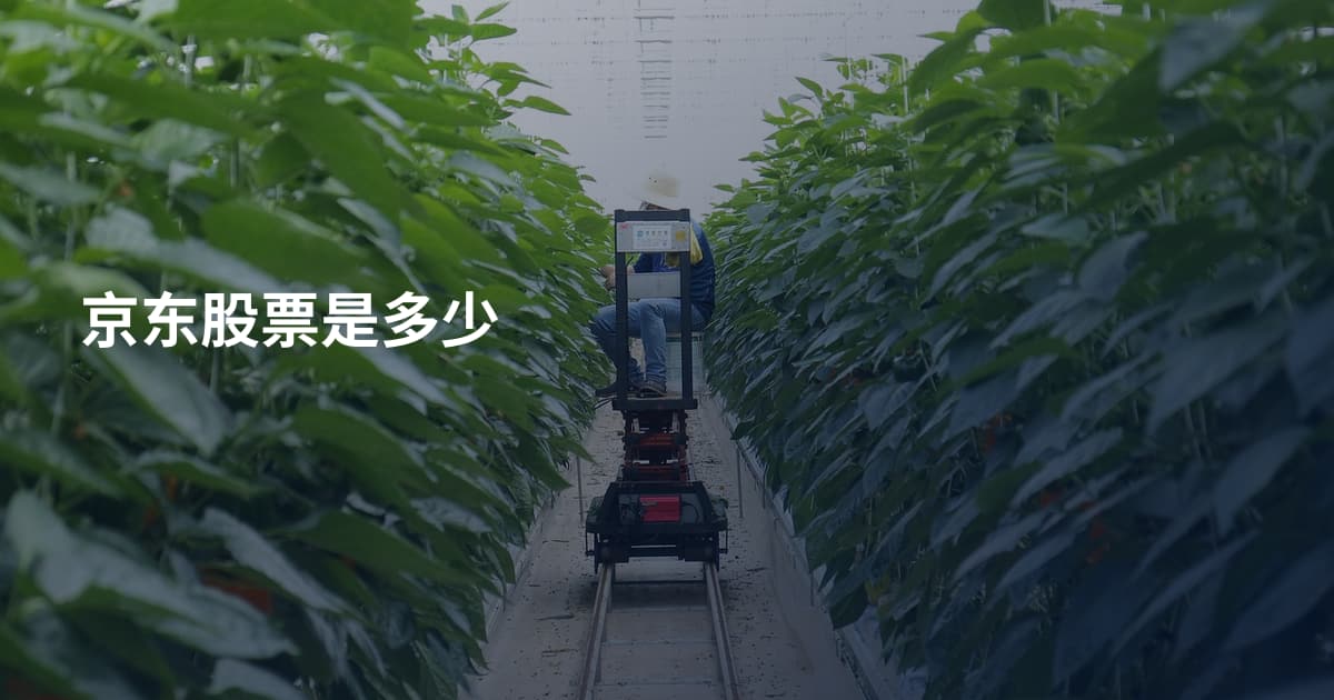 京东股票是多少