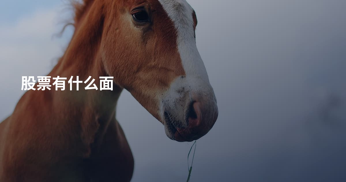 股票有什么面