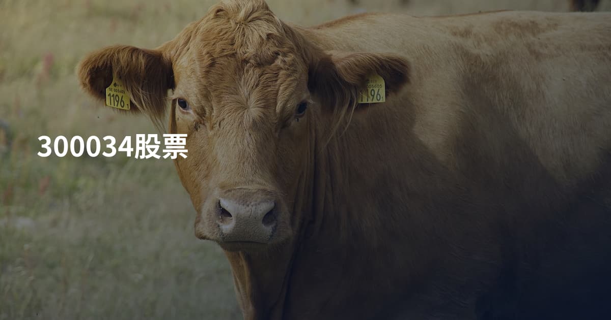 300034股票