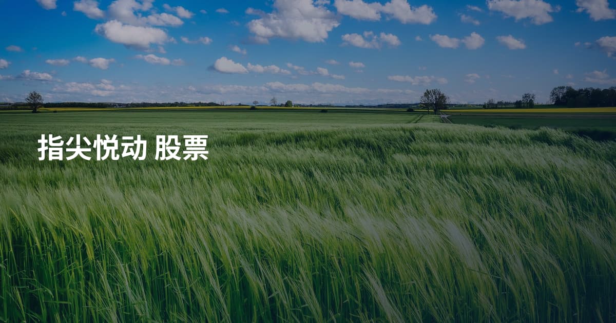 指尖悦动 股票