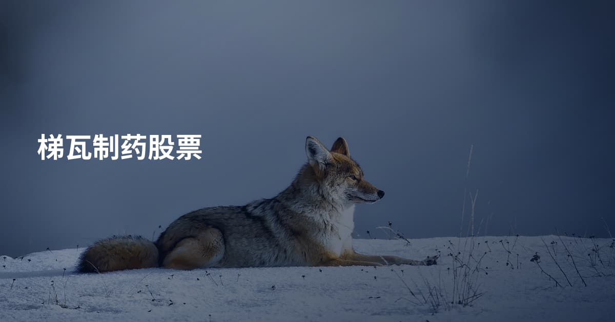 梯瓦制药股票