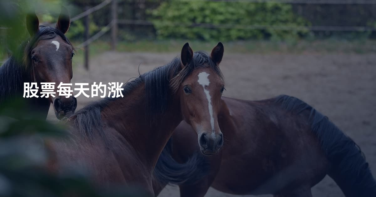 股票每天的涨