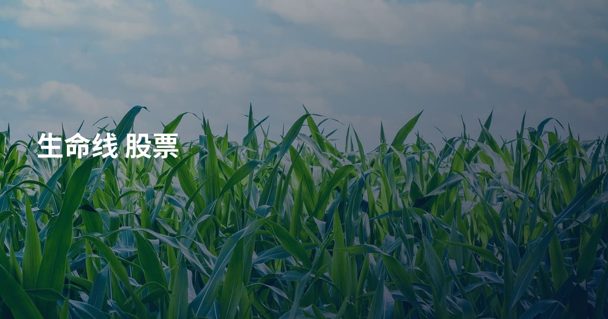 生命线 股票