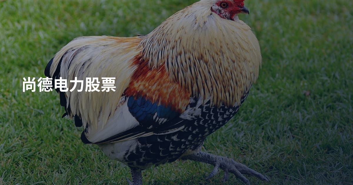 尚德电力股票