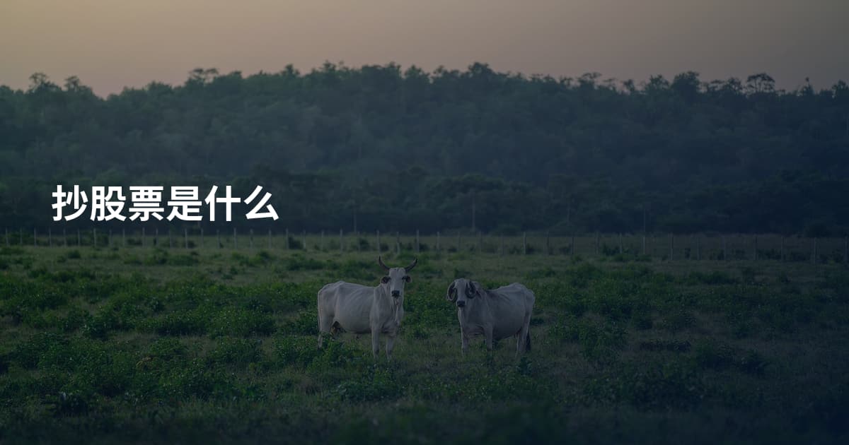抄股票是什么