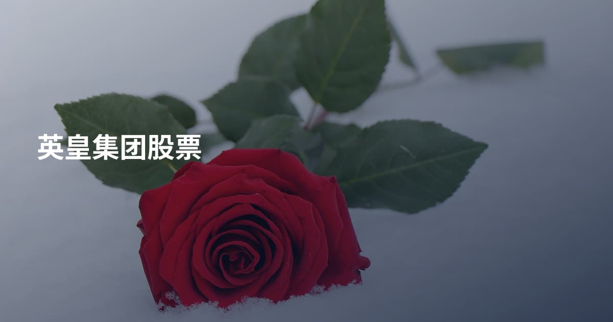 英皇集团股票