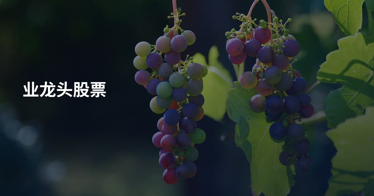 业龙头股票