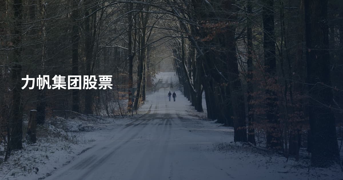力帆集团股票