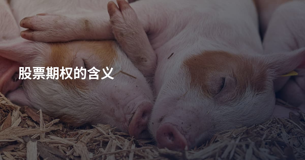 股票期权的含义