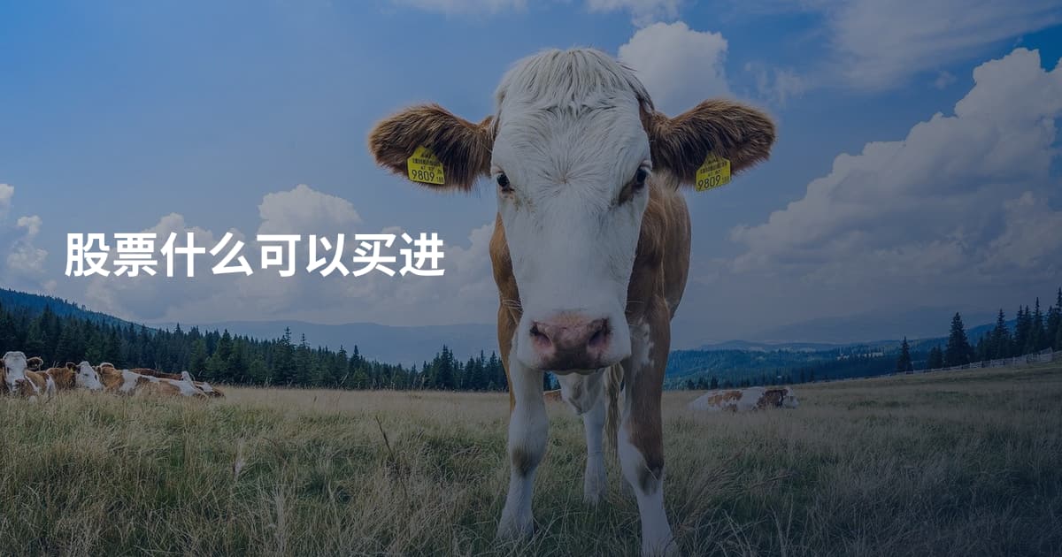 股票什么可以买进