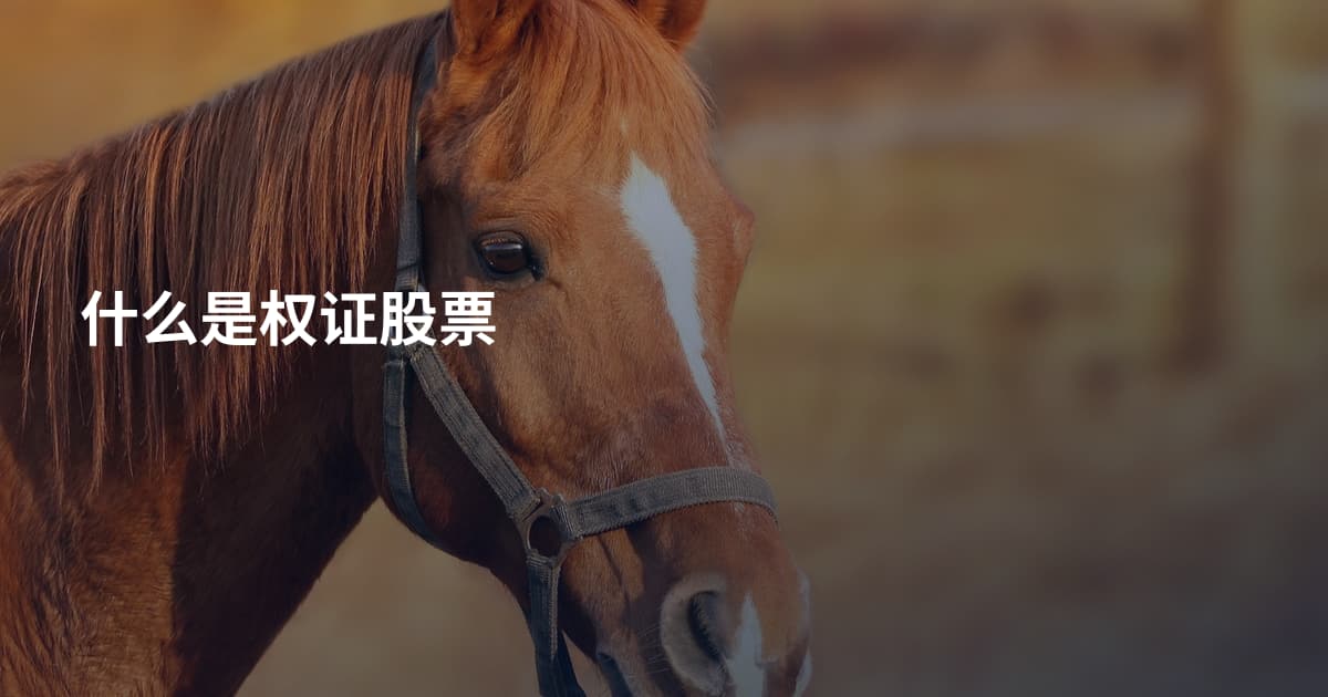 什么是权证股票
