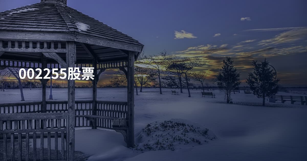 002255股票