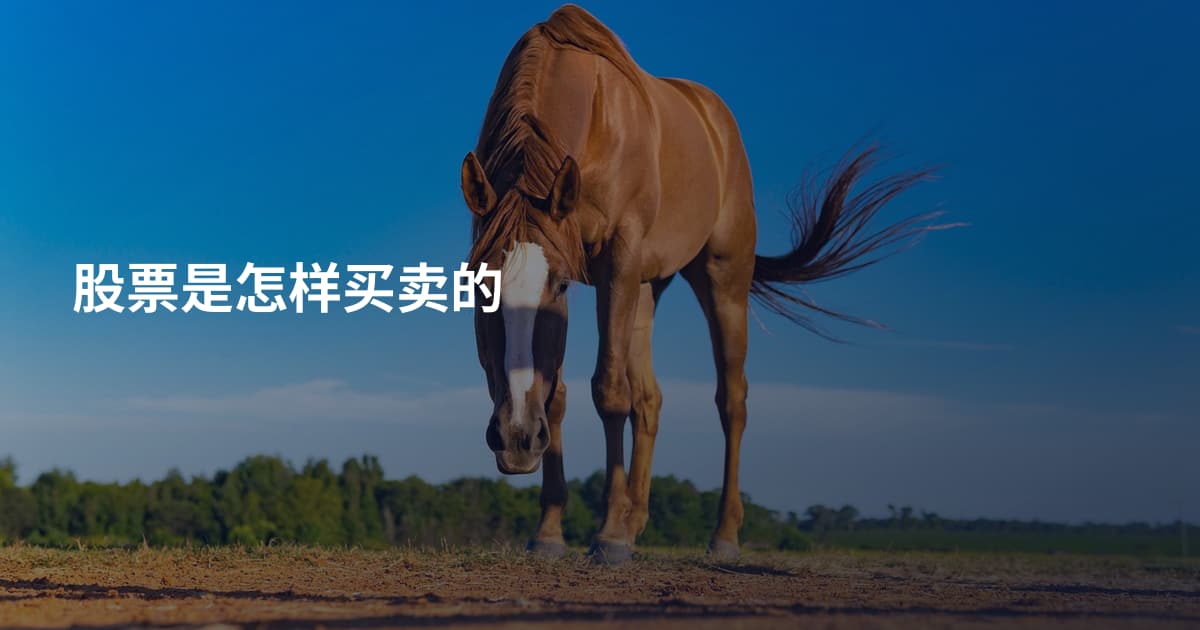 股票是怎样买卖的