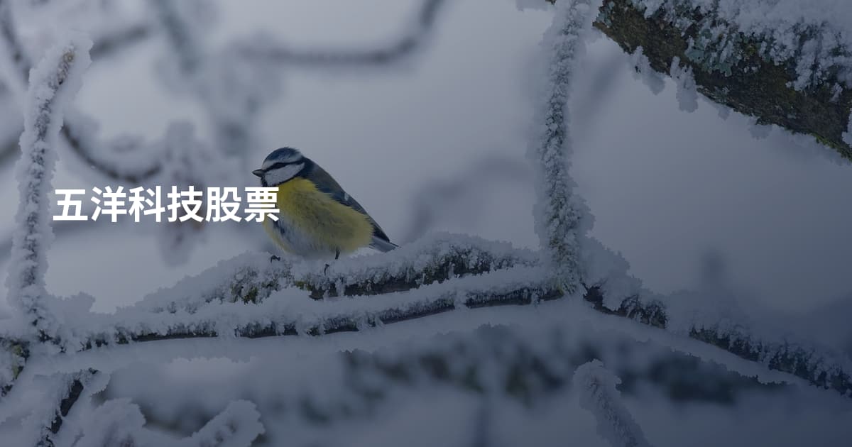 五洋科技股票