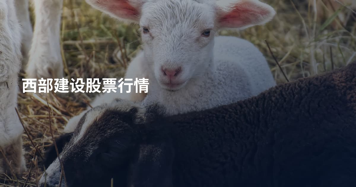 西部建设股票行情