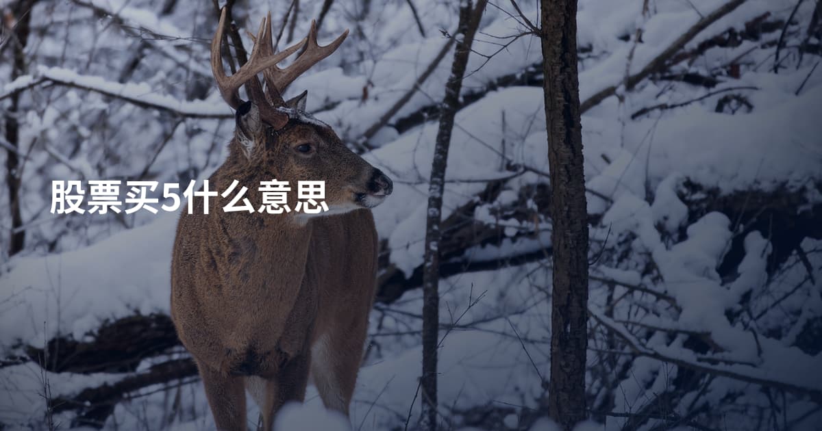 股票买5什么意思