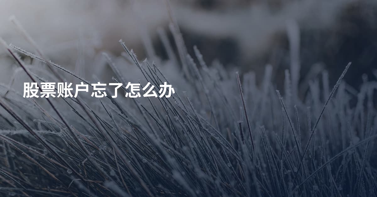 股票账户忘了怎么办