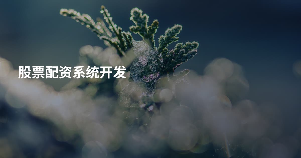 股票配资系统开发