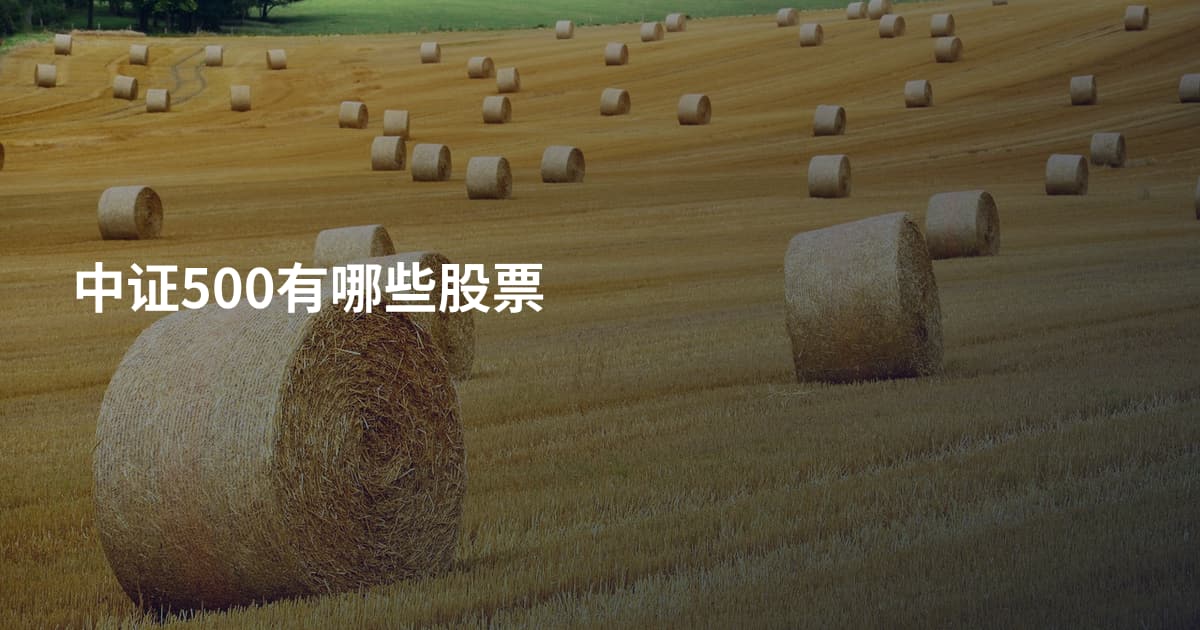 中证500有哪些股票