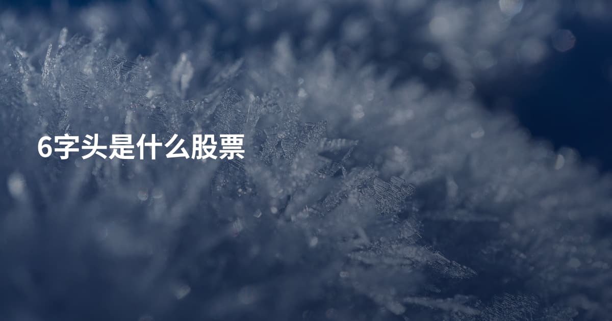 6字头是什么股票